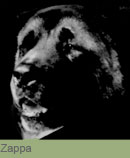 zappa